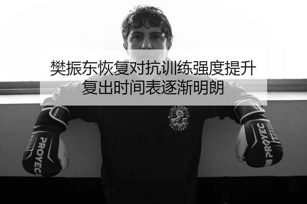 樊振东恢复对抗训练强度提升 复出时间表逐渐明朗 - MKSPORTS