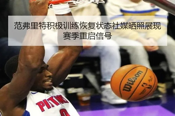 范弗里特积极训练恢复状态社媒晒照展现赛季重启信号 - MKSPORTS